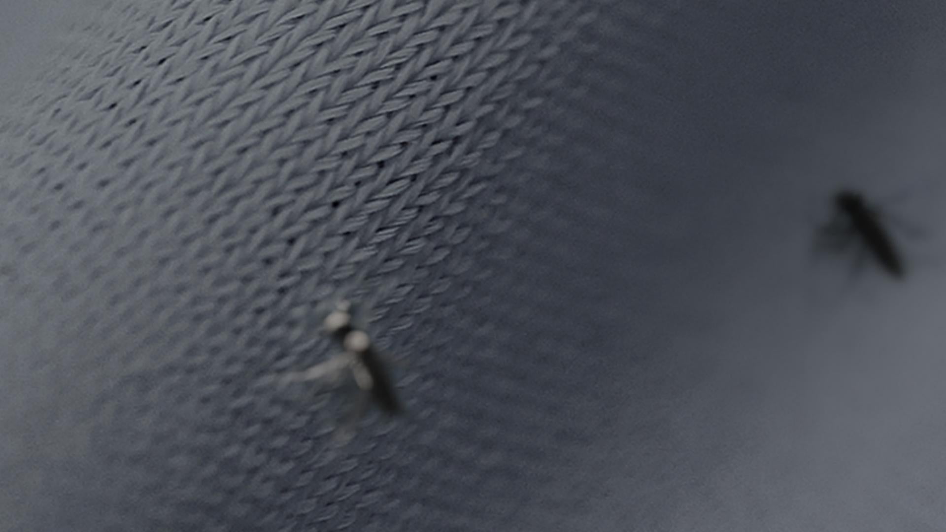 Full-Leg Coverage 21st Anniv. Cycling Tights